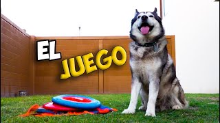 Metodología del JUEGO en LOS PERROS by José Luis MartGon 210,322 views 4 years ago 10 minutes, 45 seconds