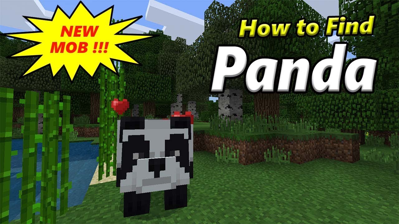 How to Find PANDA | MInecraft PE - YouTube