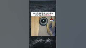 #beats #remix #funk #music #dance #memes #experimentalphonk #phonkagressive #funny #aveeplayerlegend