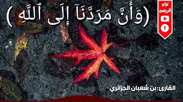 وان مردنا الى الله تلاوة من سورة غافر