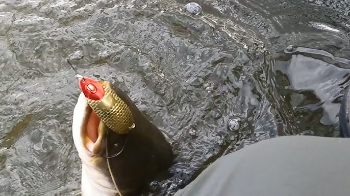 Pescuit cu plasa pe raul SOMES. - YouTube