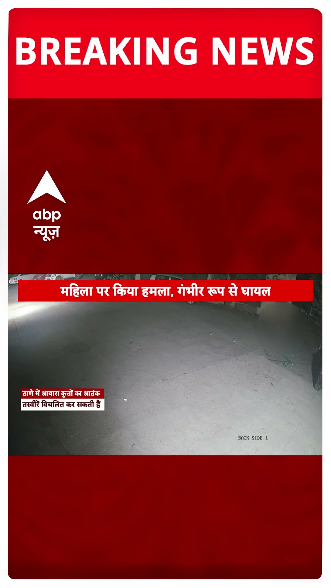Breaking : ठाणे में  बुर्जुर्ग महिला पर टूटा आवारा कुत्तों का झुंड | ABP NEWS SHORTS