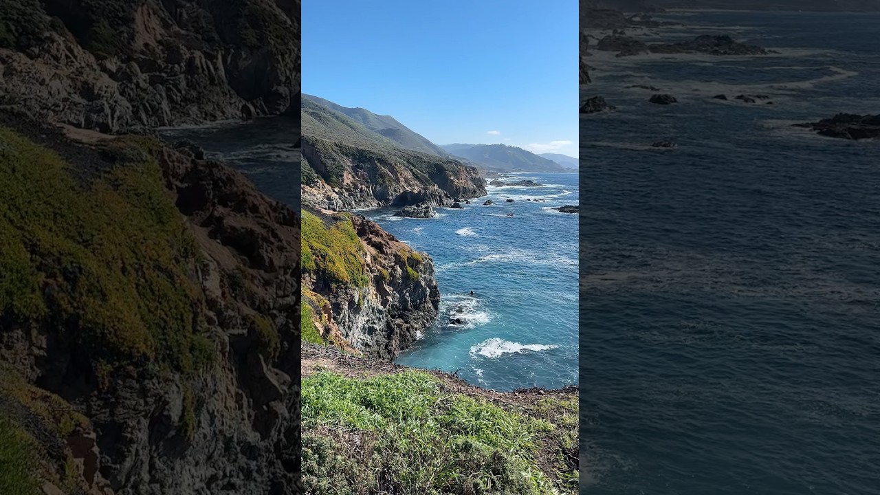 Introvert 🦭 at Big Sur