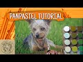 PanPastels Background -  Coloured Pencils - Create a Blurry Background & Grass using