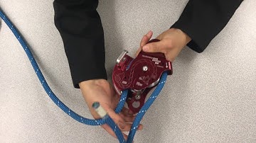 MPD - Multi Purpose Device