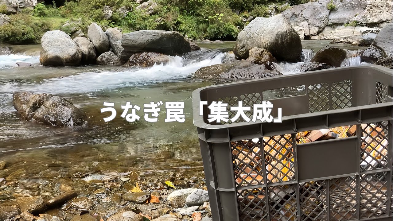 鰻を獲る事がもう禁止になるので、最後に仕掛けを総動員させた