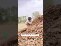 भारी मिस्टेक हो गया sir 😂 Desi Rajasthani Crazy 🤪 Comedy 🎭 Video #shorts #funnyvideos