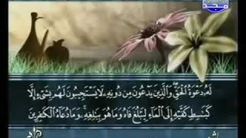 سورة الرعد  سعد الغامدي  013