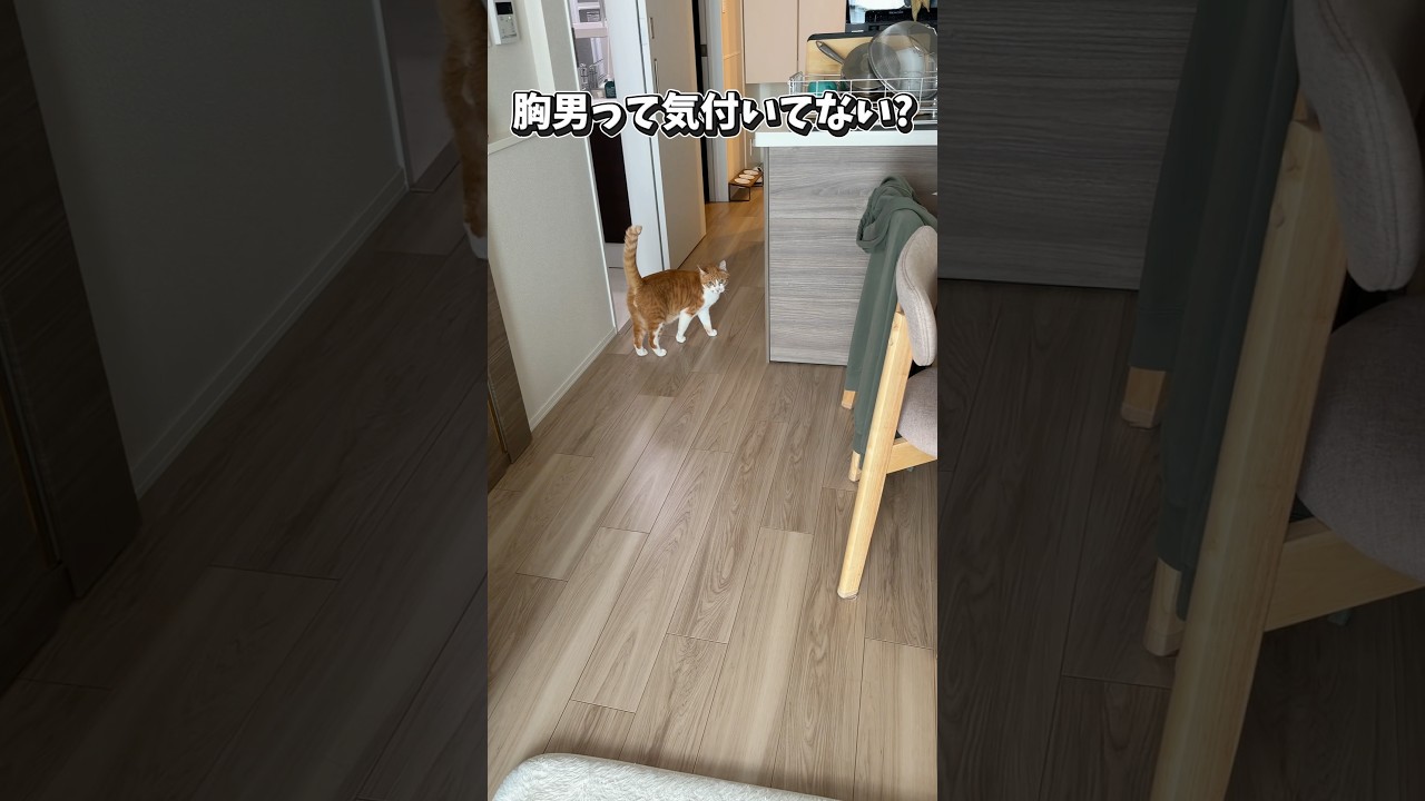 1週間ぶりに帰宅した主への対応。