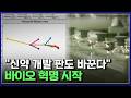 "상상도 못한 빠른 속도" AI로 신약 후보 물질 설계'드 노보 단백질' 기대와 우려는? [반복재생] / YTN 사이언스