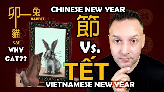 Year of Cat ? vs. Rabbit ? - Vietnam Tết vs. Chinese New Year SOLVED