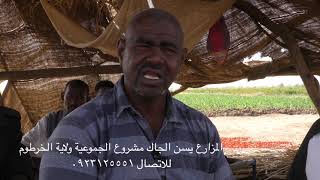 برنامج سنابل تسويق الخضر عقبة كؤود امام تظور الزراعة في السودان ح4