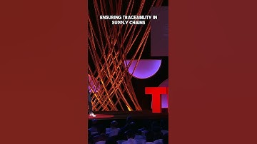 The Future of Supply Chain Transparency: How Blockchain is Changing the Game