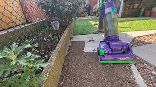 Dyson Dc04 Absolute Purplelime Vacuum Cleaner - Vacuuming The Back Yard