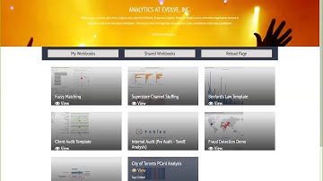 Purchasing Card Analysis in Tableau - Embedded in Audit Portal