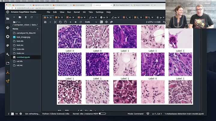 SageMaker Fridays Season 4, Episode 7 - Automating an end to end workflow for image classification