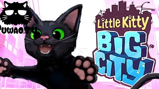 猫を愛でる『Little Kitty, Big City』