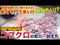 【絶品】焼肉屋が教える！コブクロの魅力と捌き方