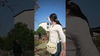 Harvesting with a slingshot