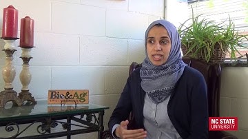 DRAINMOD-P: A Model for Phosphorus Dynamics and Transport in Drained Agricultural Lands