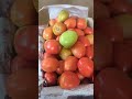 "Karachi Sabzi Mandi Vlog | Fresh Adrak Leshan Dhania Podina 🍅🌶️ Wholesale Rates & Tour 🛒🥕🌿"