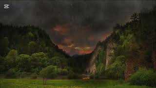Rain in the Forest: Relaxing Nature Sounds for Deep Sleep, Stress Relief \& Meditation\\