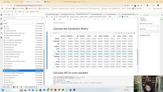 How to use Python to Calculate Correlation Matrix and VIF to detect multicollinearity Profile