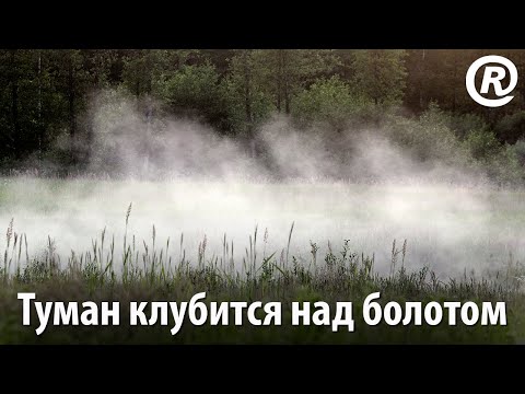 Туман клубится над
