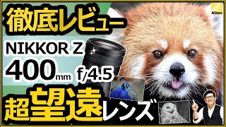 【作例】ニコン NIKKOR Z 400mm f/4.5 VR S 【小型軽量で高画素ミラーレス（Z9やZ7）にオススメする超望遠レンズの魅力を徹底レビュー】