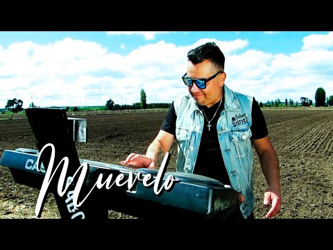 Sabor A Tinto Muévelo