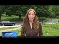 There's a black bear wandering around Worcester. An expert explains why.