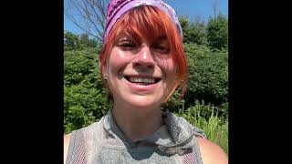 La Vesce Jargeau,Vicia Cracca-Une Plante Sauvage Comestible Méconnue À Découvrir Dans Votre Jardin