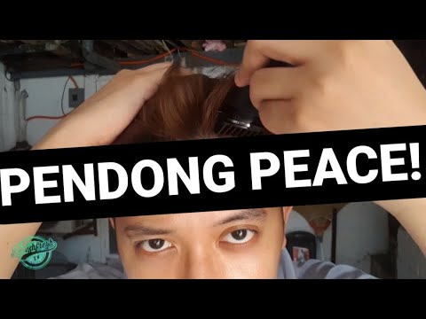 PENDONG PEACE!