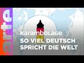 Die deutsche sprache in der welt  karambolage arte