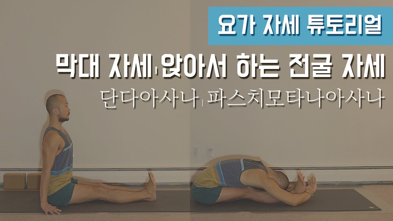 척추 건강에 도움을 주는 막대 자세 (단다아사나 + 파스치모타나아사나) 살펴보기 | 요가 자세 튜토리얼 | 요가소년 133
