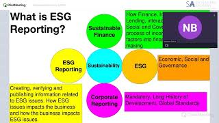 Integrated Reporting (including ESG) - Introduction