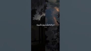 سورة القصص آية 71-73 بتلاوة سعود الشريم