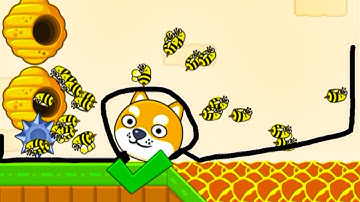 Save The Dog Speedrun Gameplay Level 212