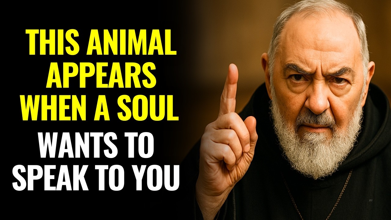 WARNING FROM PADRE PIO: IF THIS ANIMAL APPEARS IN YOUR HOME, SOMEONE IN HEAVEN WANTS TO SPEAK TO YOU