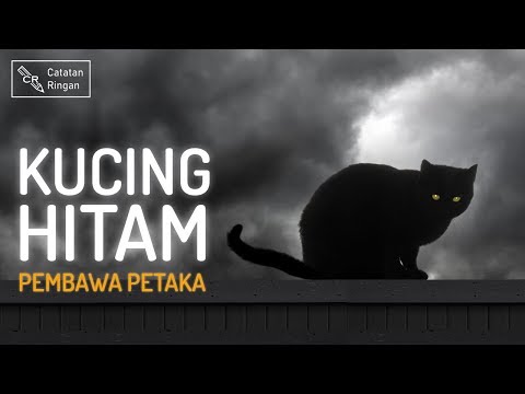 Video: Mengapa Kucing Hitam Datang Ke Rumah?