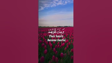 الراحة النفسية 🥀تلاوة مؤثرة بصوت جميل جدا حالات واتس اب قرآن كريم Quran Status 🌷 ♥️