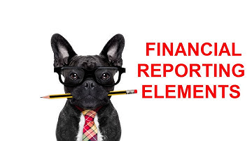 Module 1 - Financial Reporting Elements, Introduced!