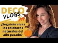 🟠 Saco las CALABAZAS - DESVELO próxima DECORACIÓN de OTOÑO - Postre FÁCIL y MÁS ((DecoVlog))