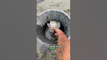 Bắt được cá lớn nằm trên vùng dãy núi #shorts