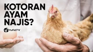 Ternak Ayam dan Kotoran Ayam NAJIS? - Poster Dakwah Yufid TV