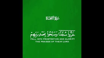 ___القارئ#شريف_مصطفى #سورة_السجدة #القرآن_الكريم