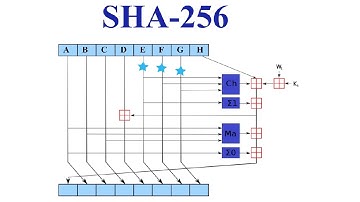 Píldora formativa 46: ¿Qué son SHA-2 y SHA-3?
