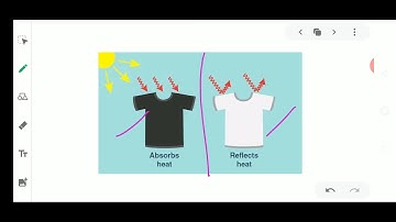 Class VII Science 21 4 2020 by Ms Bhanupriya