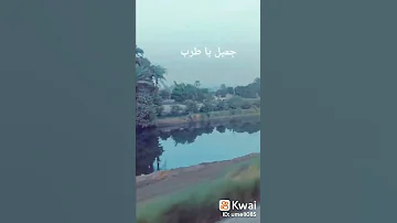 كداب ياللي تقولي العاشق باليل ينام 