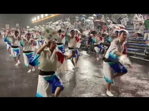 阿波踊り3日目 14日午後8時すぎ 藍場浜演舞場